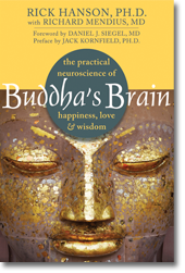 Buddha's Brain Cover